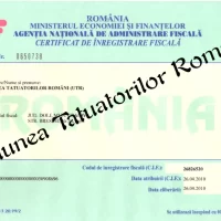 Scoala de tatuaje si Piercing SFINX - UTR